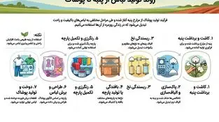 اینفوگرافی