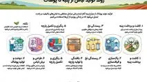 اینفوگرافی