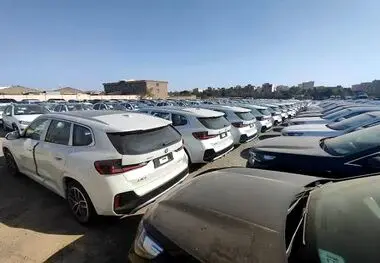 کارشناس اقتصادی در گفت و گو با جهان اقتصاد مطرح کرد:
 مدیریت واردات؛ راهبرد تازه دولت برای تقویت تولید ملی
