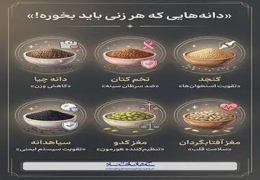 اینفوگرافی