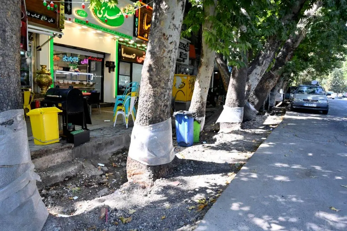 بازسازی نهر باغچه خیابان ولیعصر (عج) با اولویت حفظ درختان چنار کهنسال