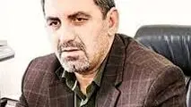 اهمیت تامین مالی شبکه ای