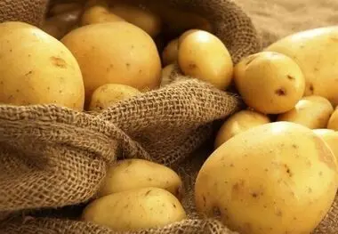 سیب زمینی را ازاین میوه ها دور نگهدارید حتی از پیاز
