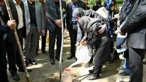 بوستان قیطریه میزبان نهال های تازه در روز تولد امام شهید بود