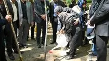 بوستان قیطریه میزبان نهال های تازه در روز تولد امام شهید بود