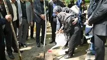 بوستان قیطریه میزبان نهال های تازه در روز تولد امام شهید بود