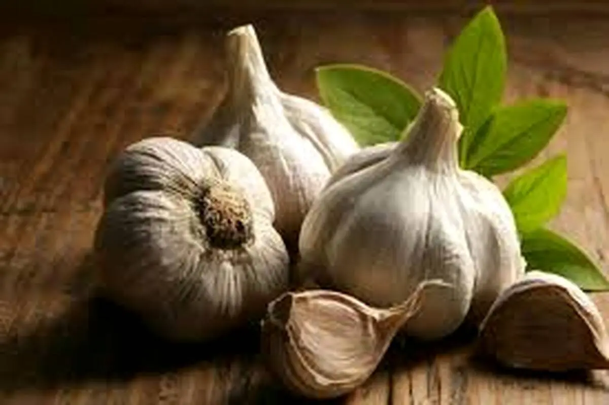 از خواص جادویی سیر چه می‌دانید؟
