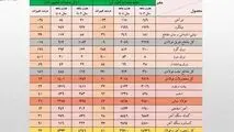 رشد ۴۱ درصدی حجم صادرات زنجیره فولاد در هشت ماهه امسال/ کاهش سهم تولیدکنندگان از صادرات به ۴۰ درصد/ جزئیات تحلیلی حجم و ارزش صادرات محصولات زنجیره فولاد