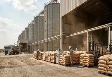 ذخایر استراتژیک، ضربه‌گیر آشوب‌های جهانی