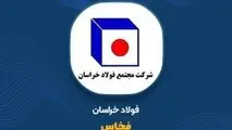 از رشد چشمگیر درآمد تا مدیریت بهینه حامل‌های انرژی در «فخاس»
