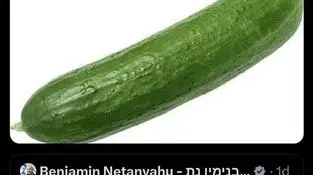 خیاری که از نتانیاهو بیشتر لایک گرفت