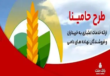 حامینا" محصول جدید بانک ملت برای تامین مالی نهاده های دامی