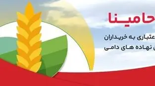 حامینا" محصول جدید بانک ملت برای تامین مالی نهاده های دامی