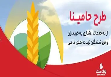 حامینا" محصول جدید بانک ملت برای تامین مالی نهاده های دامی
