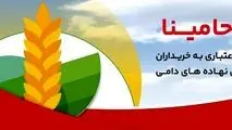 حامینا" محصول جدید بانک ملت برای تامین مالی نهاده های دامی