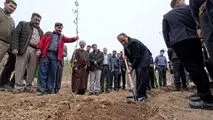 همراهی مسئولان با پویش مردمی «ریشه در وطن داریم»