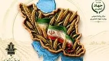 تخفیف ۱۰ درصدی حق بیمه صندوق کشاورزی برای بیمه‌گذران