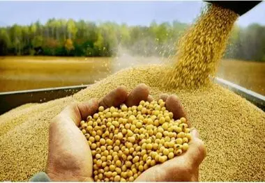 تغییر وضعیت ناوبری
