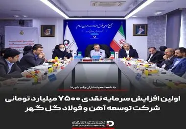 به همت سهامداران رقم خورد؛
اولین افزایش سرمایه نقدی ۷۵۰۰ میلیارد تومانی شرکت توسعه آهن و فولاد گل گهر