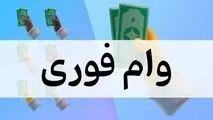 وام فوری یا دام فوری؟