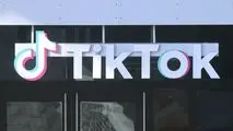 تیک‌تاک برای یک پرونده سنگین دست به جیب شد
