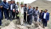 گام سوم پویش ملی «ریشه در وطن داریم»؛ این بار در مجتمع مس درآلو