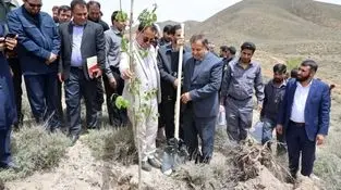 گام سوم پویش ملی «ریشه در وطن داریم»؛ این بار در مجتمع مس درآلو