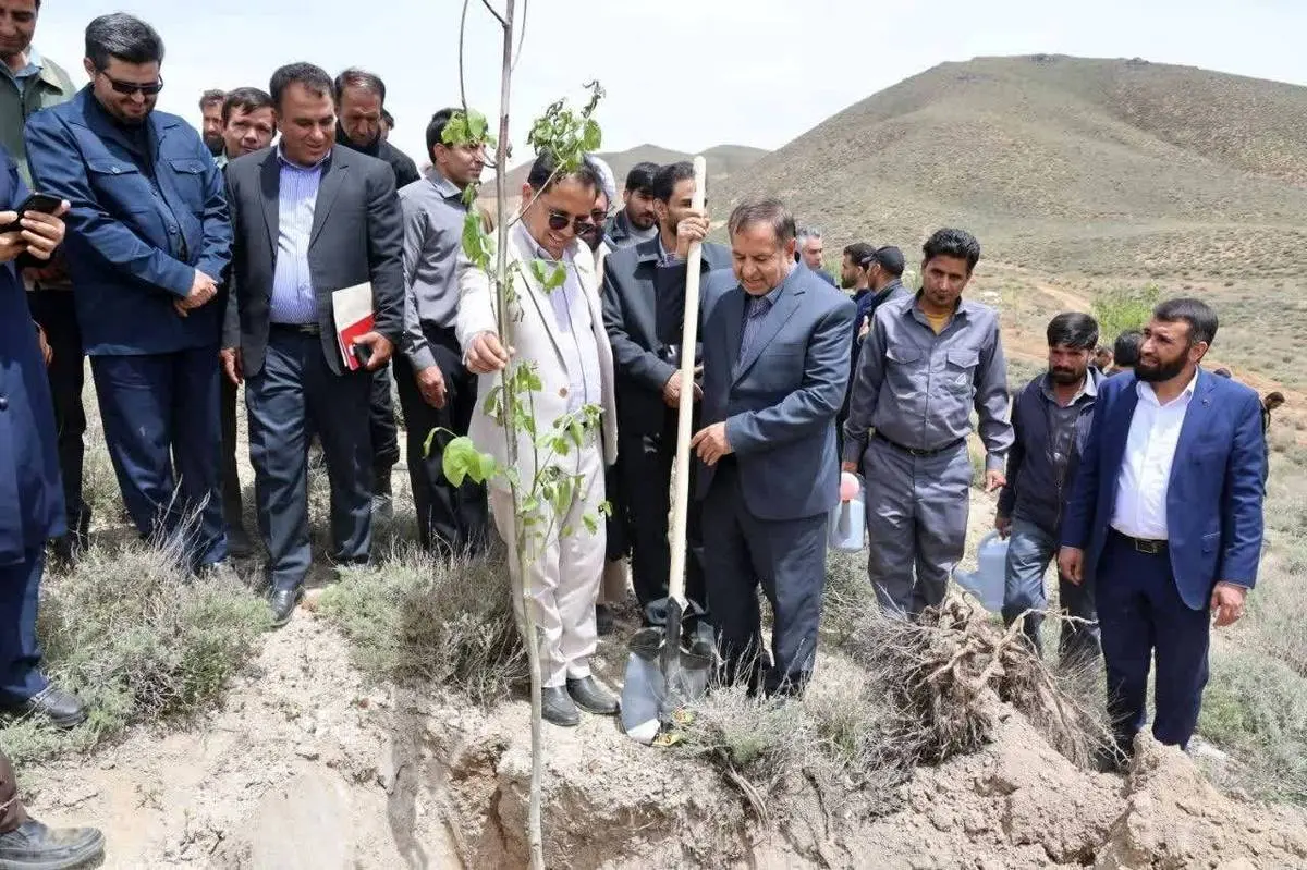 گام سوم پویش ملی «ریشه در وطن داریم»؛ این بار در مجتمع مس درآلو