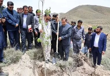 گام سوم پویش ملی «ریشه در وطن داریم»؛ این بار در مجتمع مس درآلو