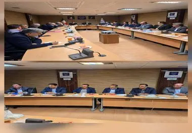 نشست شورای هماهنگی شرکت‌های بیمه استان مرکزی در بیمه دی برگزار شد