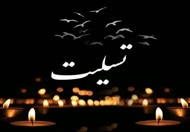 پیام تسلیت مدیرعامل میدکو در پی شهادت آتش‌نشان فداکار کرمانی