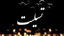 پیام تسلیت مدیرعامل میدکو در پی شهادت آتش‌نشان فداکار کرمانی