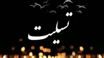 پیام تسلیت مدیرعامل میدکو در پی شهادت آتش‌نشان فداکار کرمانی