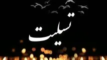 پیام تسلیت مدیرعامل میدکو در پی شهادت آتش‌نشان فداکار کرمانی
