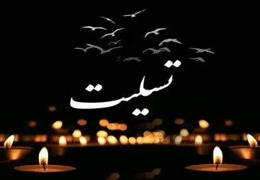 پیام تسلیت مدیرعامل میدکو در پی شهادت آتش‌نشان فداکار کرمانی
