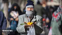 جهان اقتصاد بررسی می‌کند؛
سفره‌ها لاغرتر شدند/ از تابلوی صرافی تا بشقاب غذا؛ ارز چگونه طبقه کارگر را زمین‌گیر کرد