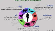 بیماری های مشترک بین انسان و حیوان