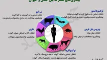 بیماری های مشترک بین انسان و حیوان