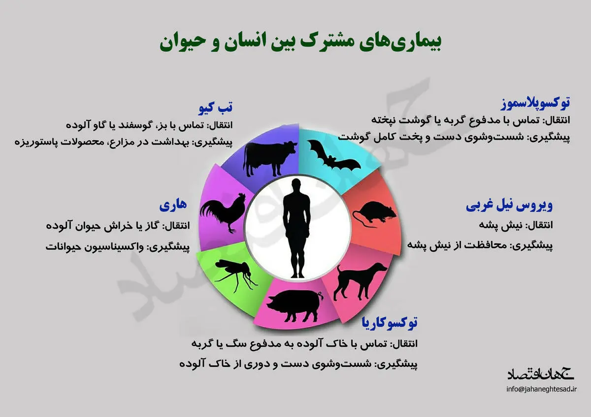 بیماری های مشترک بین انسان و حیوان