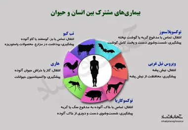 بیماری های مشترک بین انسان و حیوان