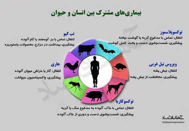 بیماری های مشترک بین انسان و حیوان
