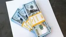 افزایش عرضه ارز موجب رونق واردات یا خطر تورم؟