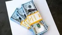 افزایش عرضه ارز موجب رونق واردات یا خطر تورم؟