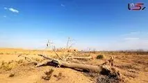 ۹ استان در آستانه تنش شدید آبی