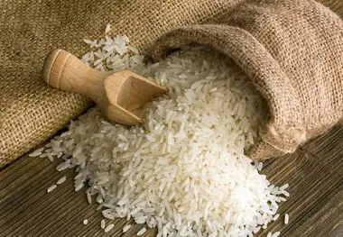 حال بازار برنج خوب نیست / آخرین فرصت برای جلوگیری از گرانی برنج

