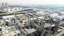 رشد 95درصدی فروش آذرماه محصولات شیران نسبت به آذرماه سال مالی قبل