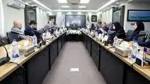 آقاجانلو: مدل اجرایی جدید برای تامین مالی طرح های مس طراحی شود