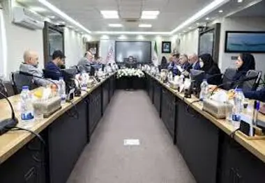 آقاجانلو: مدل اجرایی جدید برای تامین مالی طرح های مس طراحی شود