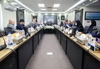 آقاجانلو: مدل اجرایی جدید برای تامین مالی طرح های مس طراحی شود