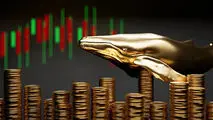 ریزش ۴ هزار تومانی تتر در ۴۸ ساعت

